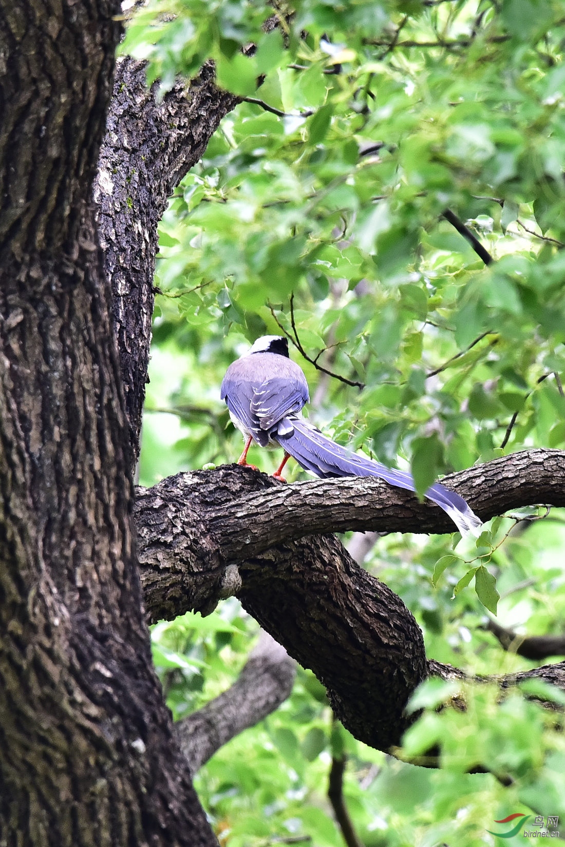 DSC_0556.JPG