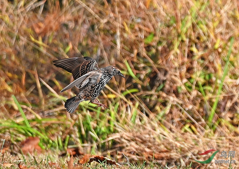 DSC_7450_����.jpg