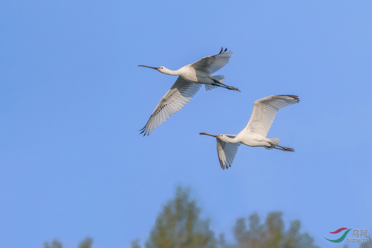 dsc_7566.jpg