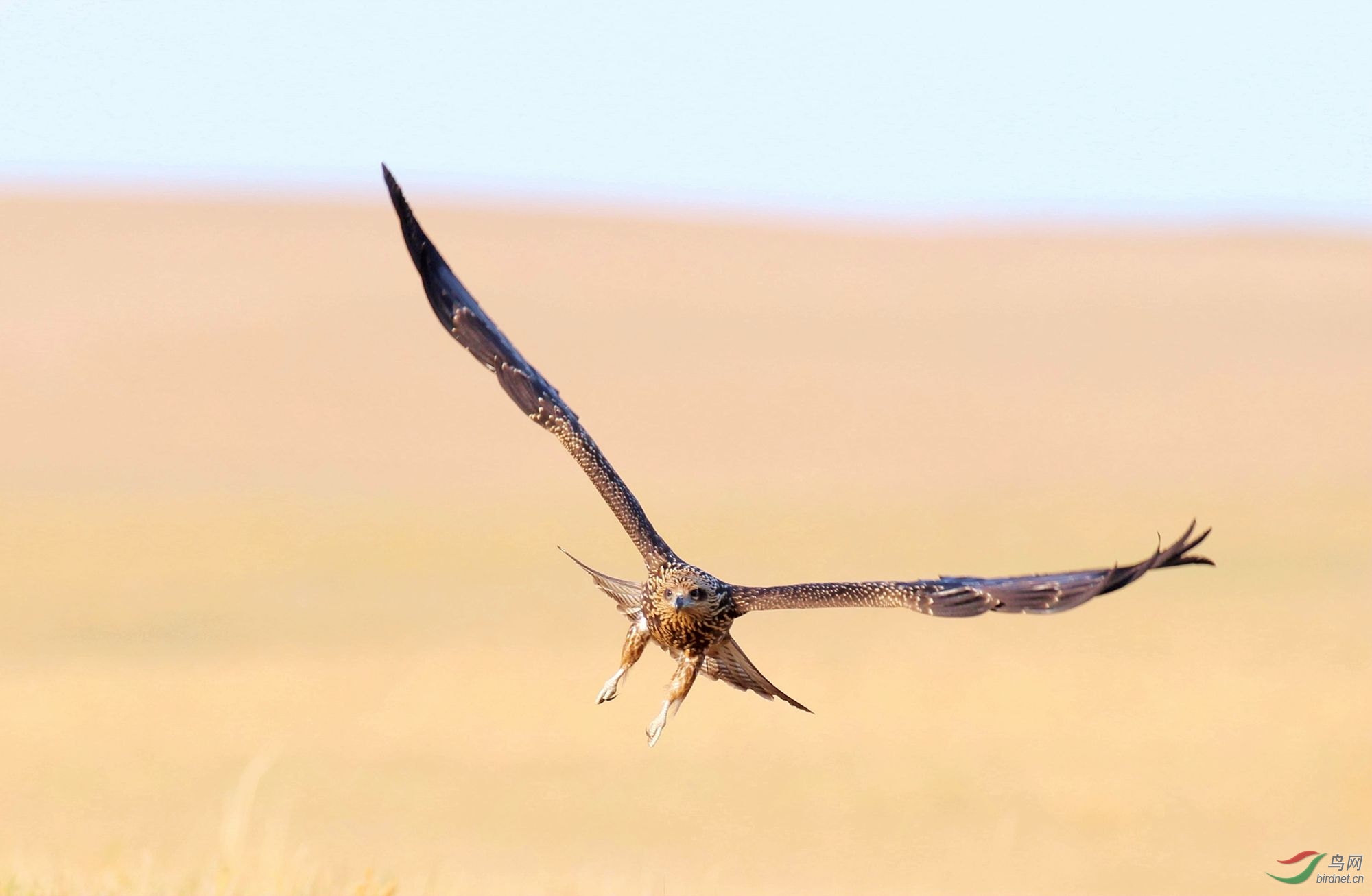 AK2Y7014_2000.jpg