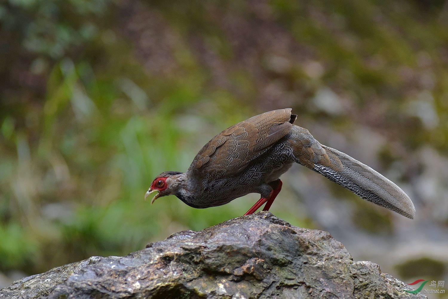 D8I_0092.jpg