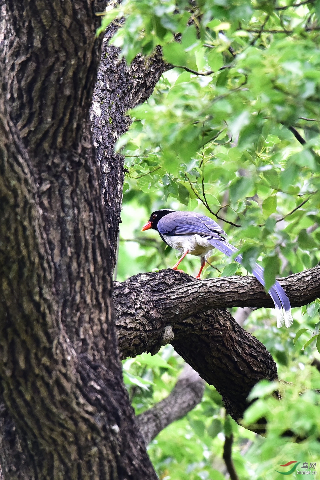 DSC_0557.JPG
