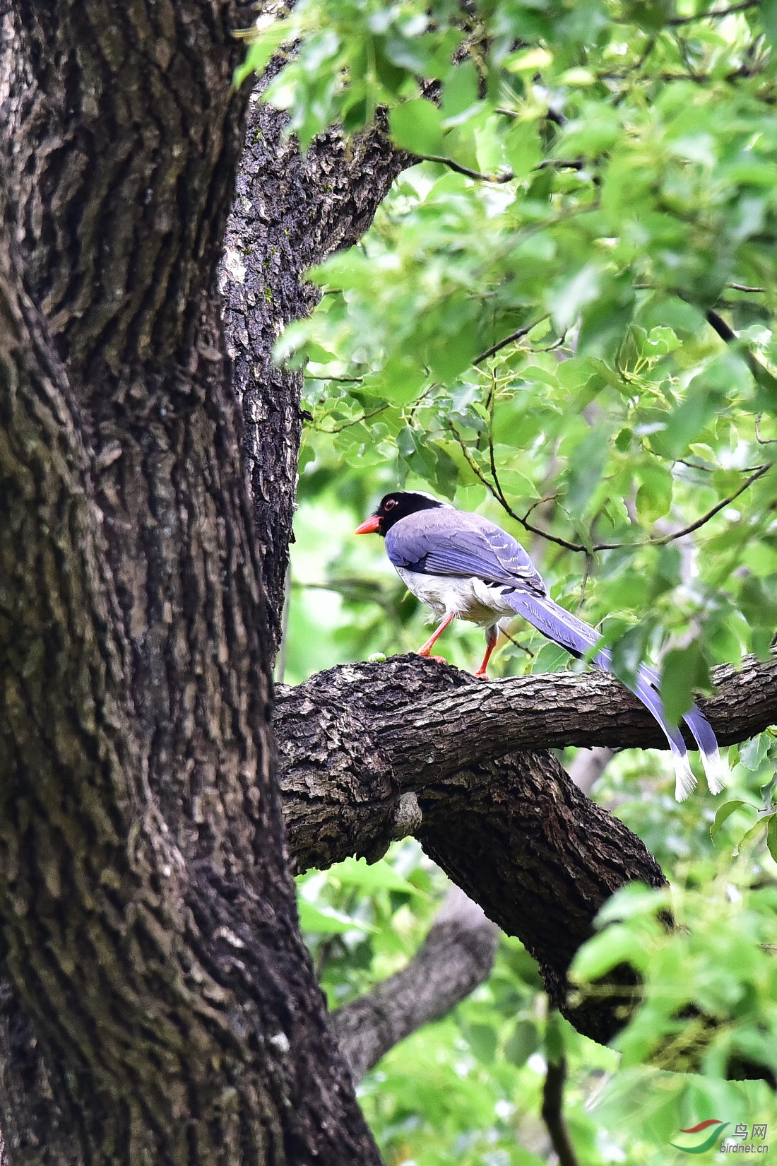 DSC_0558.JPG