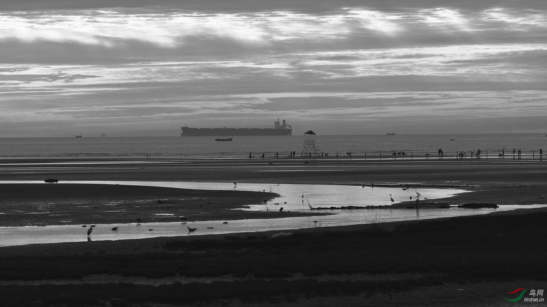 海边剪影(祝贺荣获首页黑白影像精华)