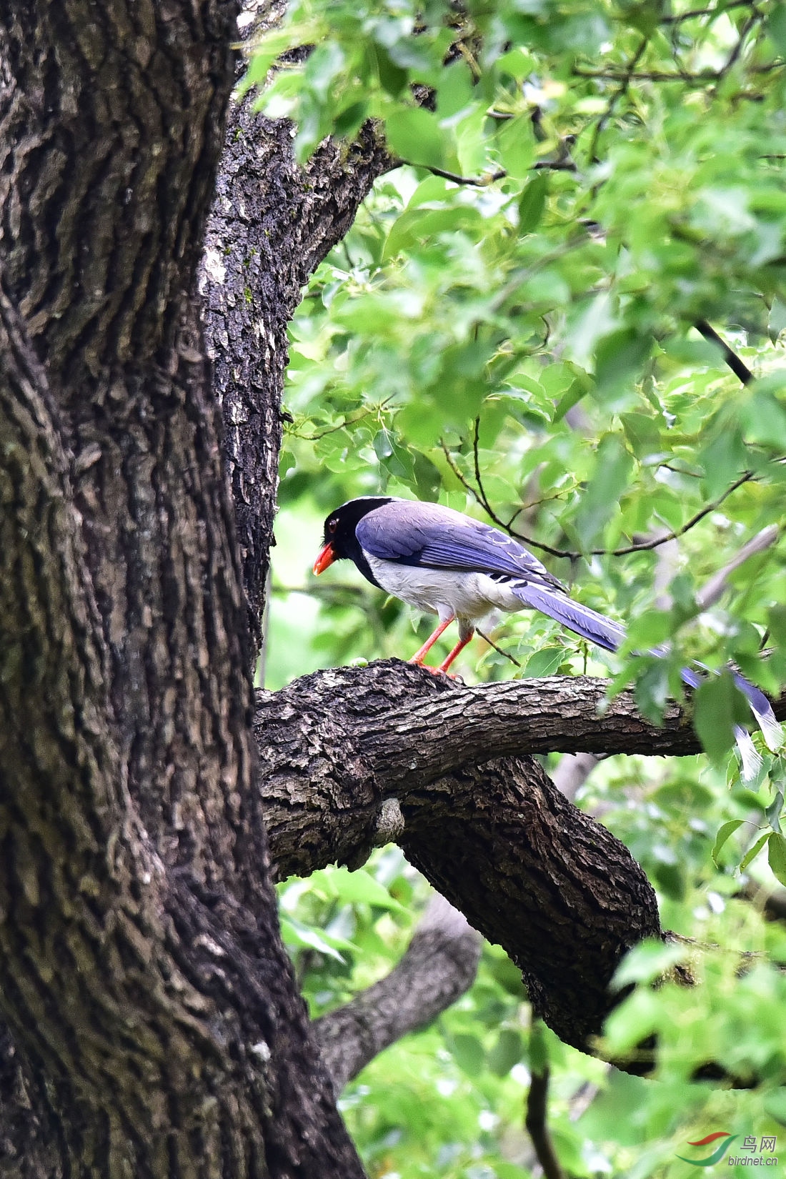 DSC_0560.JPG