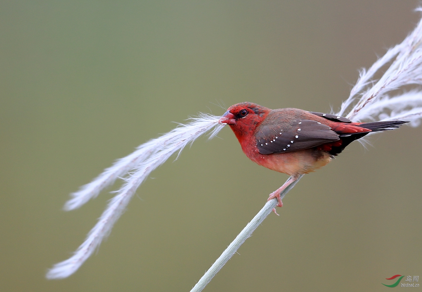 AI0I0857 - ����.JPG