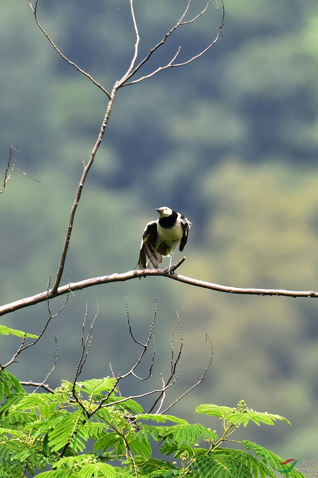 DSC_0141.JPG