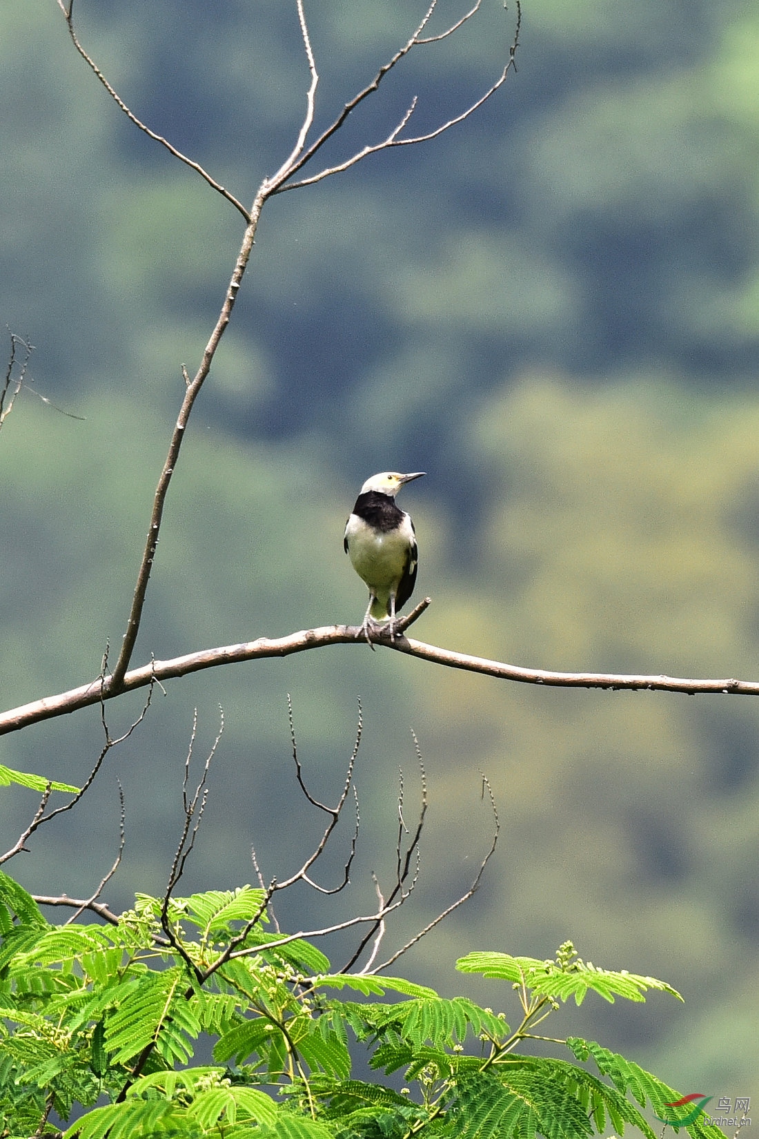 DSC_0142.JPG