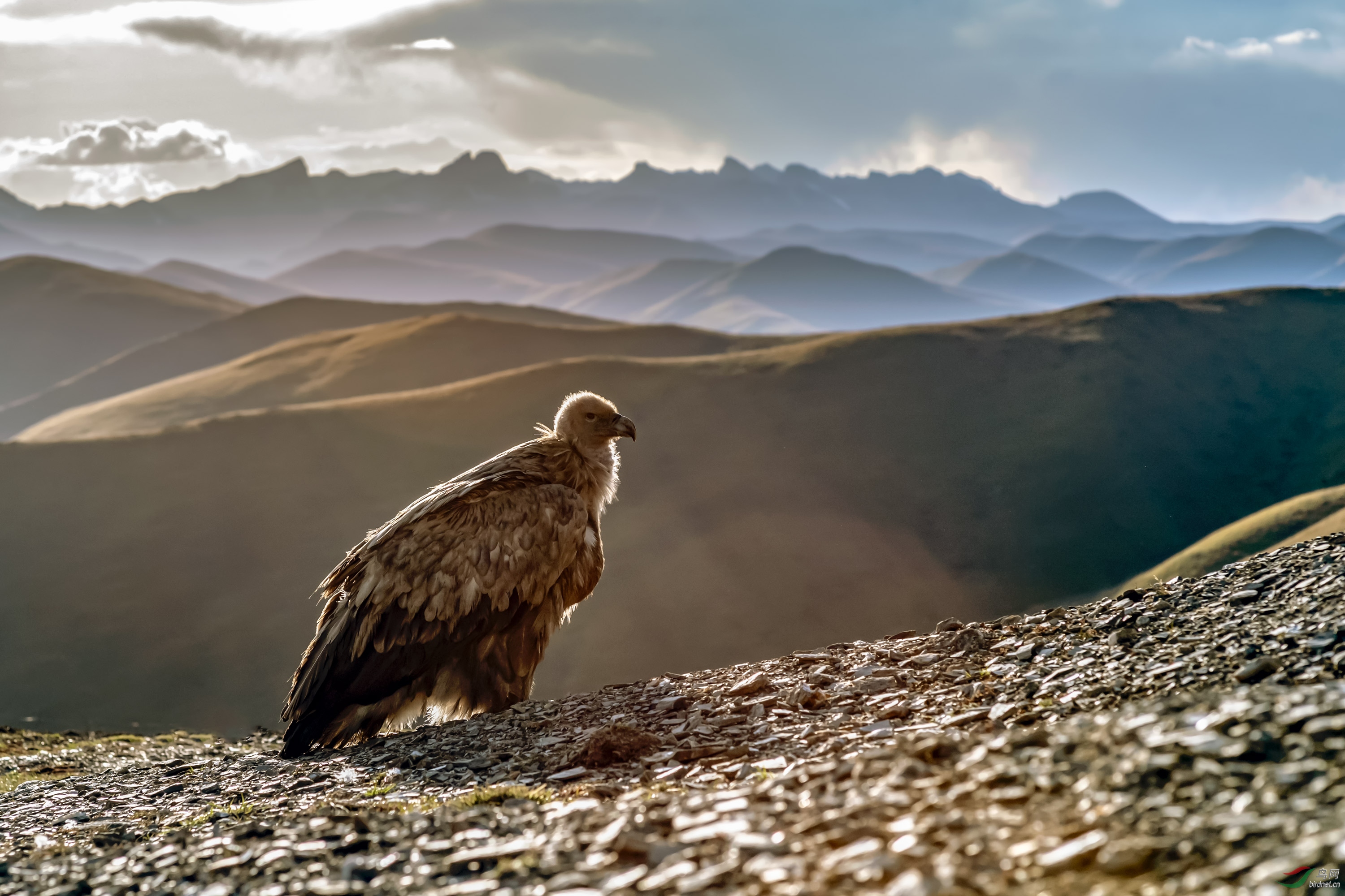 _DSC6186_��ͼ��.jpg