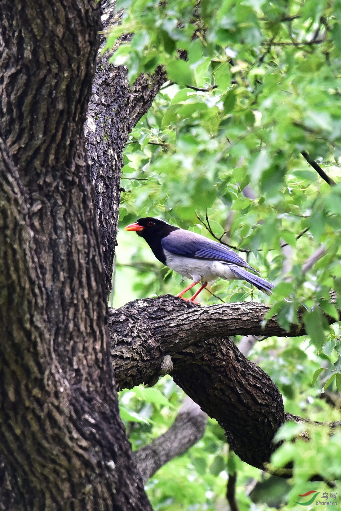 DSC_0563.JPG
