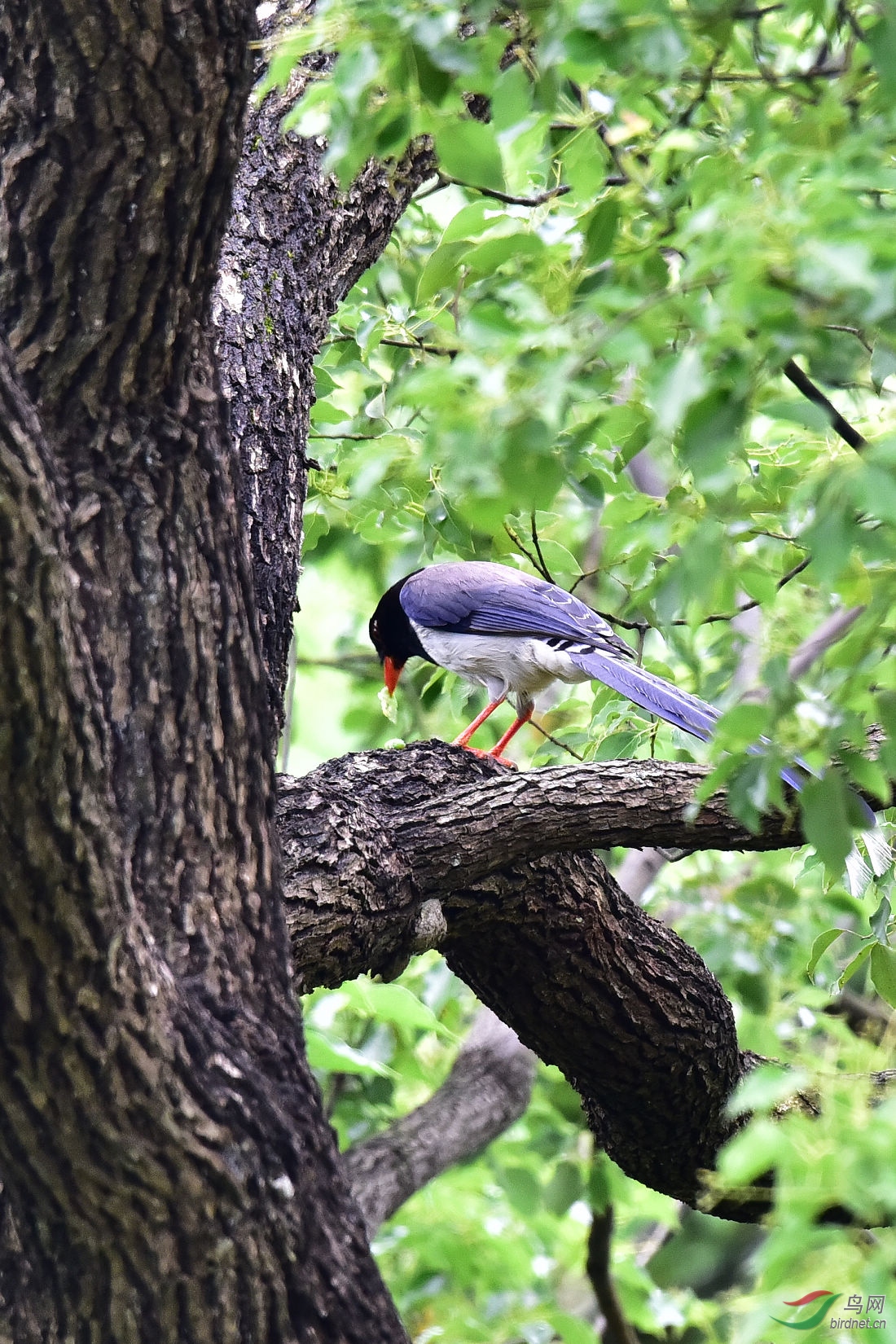 DSC_0564.JPG