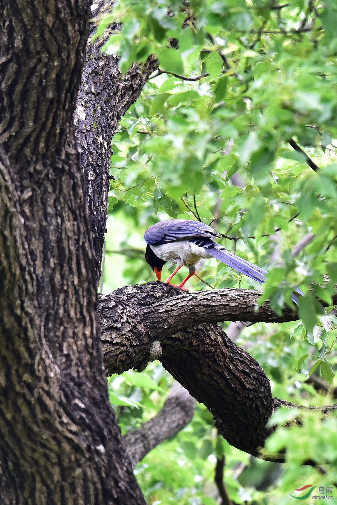 DSC_0565.JPG