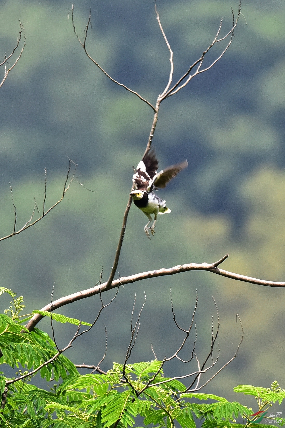 DSC_0145.JPG