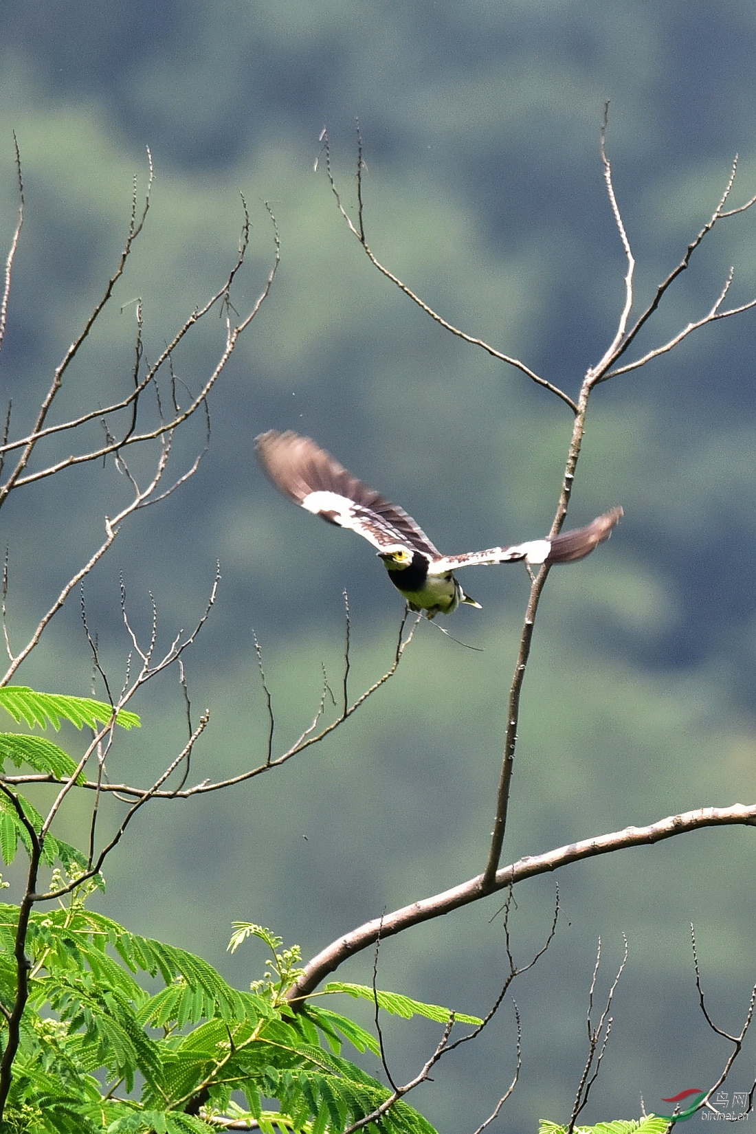 DSC_0146.JPG