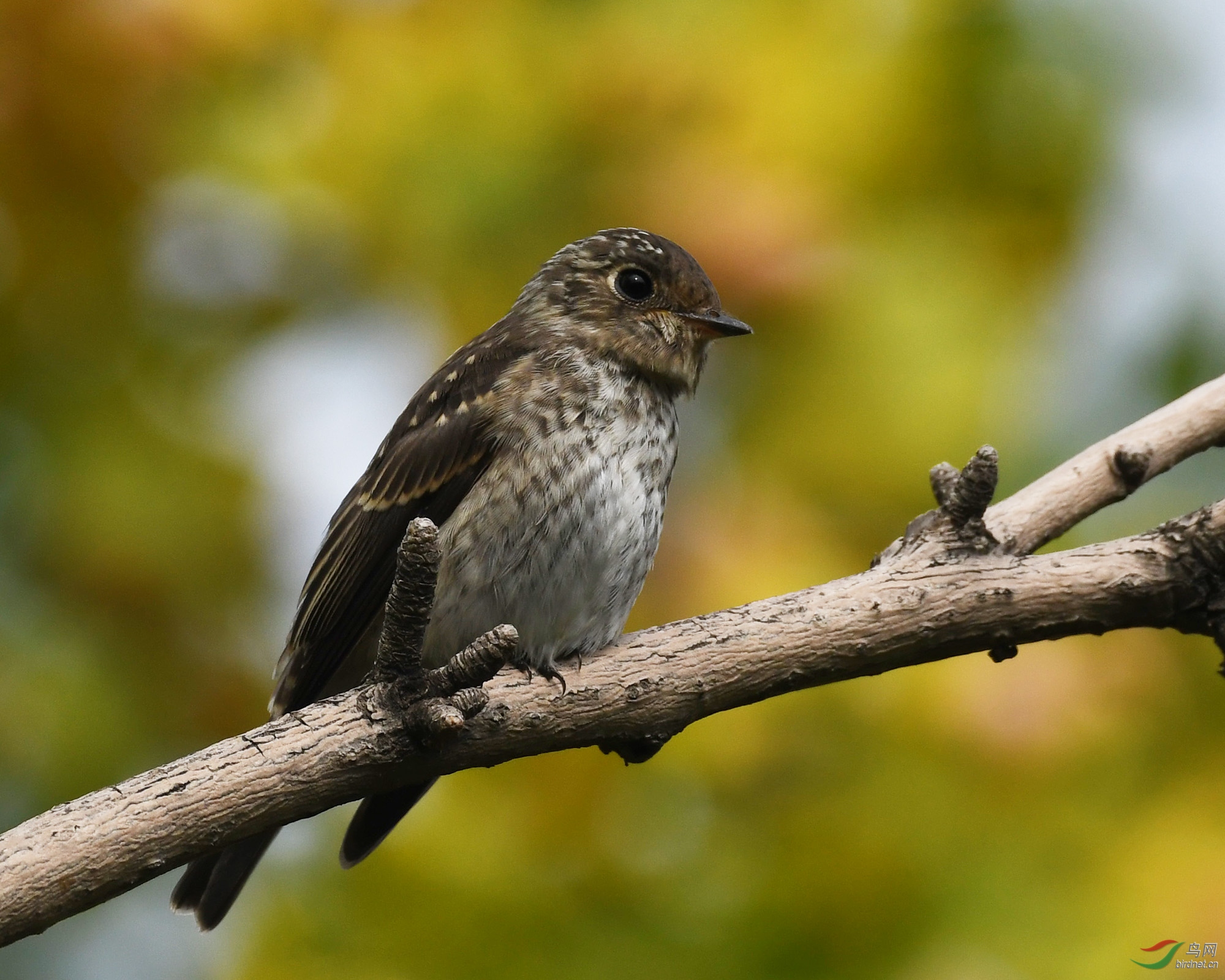 ������Ӱ 700����.jpg