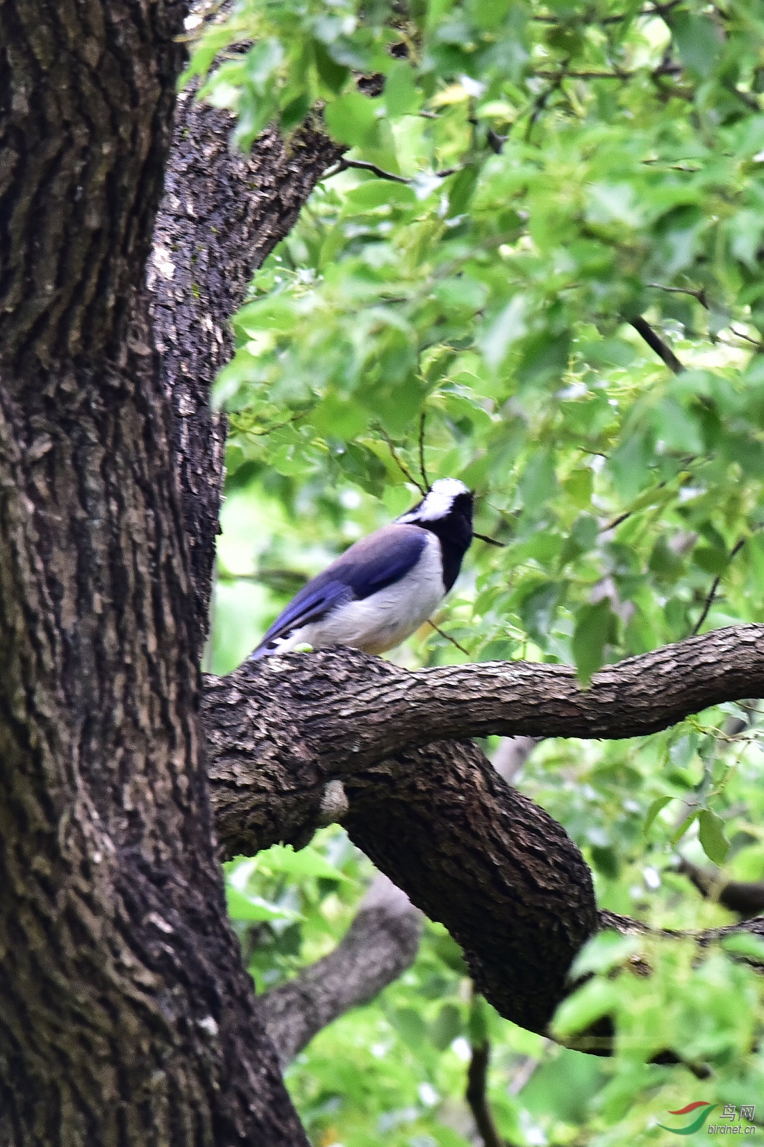 DSC_0568.JPG