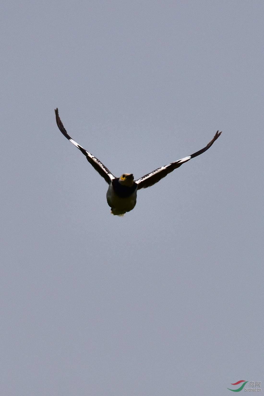DSC_0148.JPG