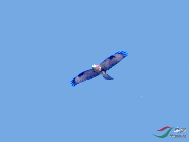 P3560673 - ����.JPG