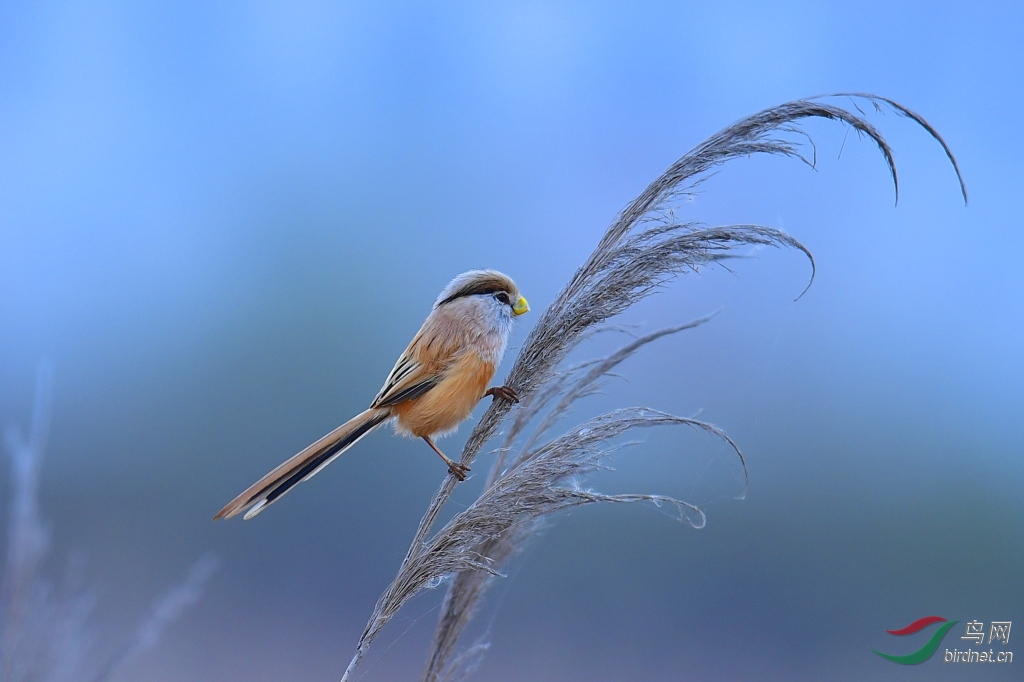 DSC_7647_��ͼ��.jpg
