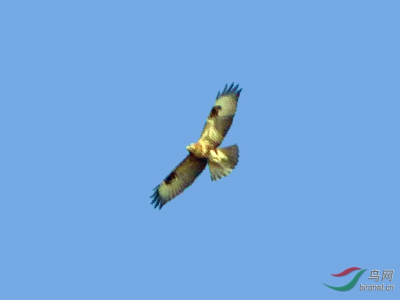 P3560708 - ����.JPG