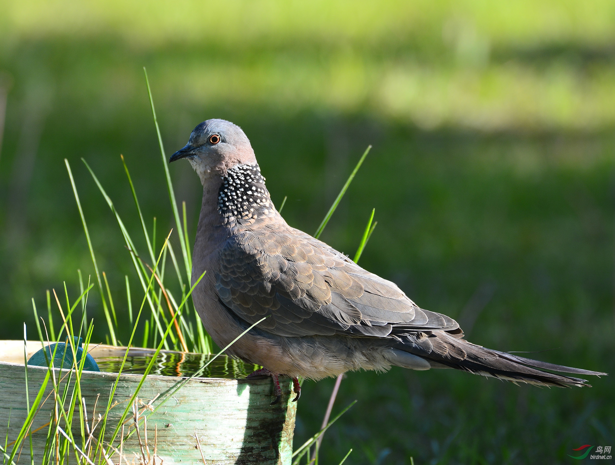 ������Ӱ 071����.jpg