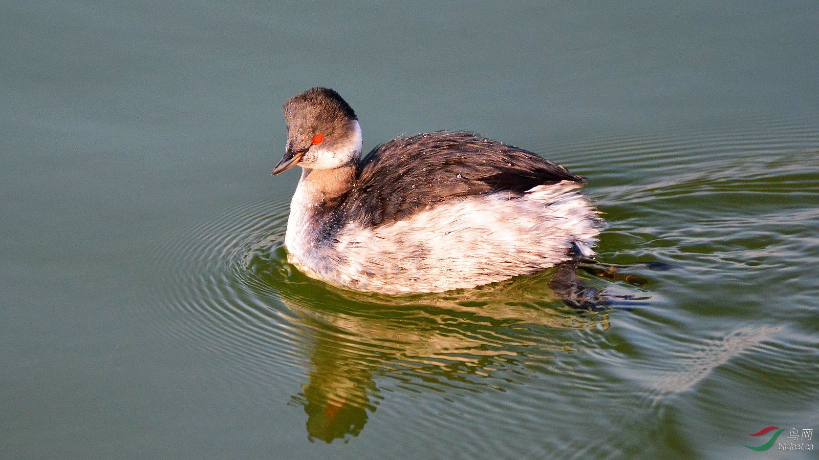 DSC_6338.JPG