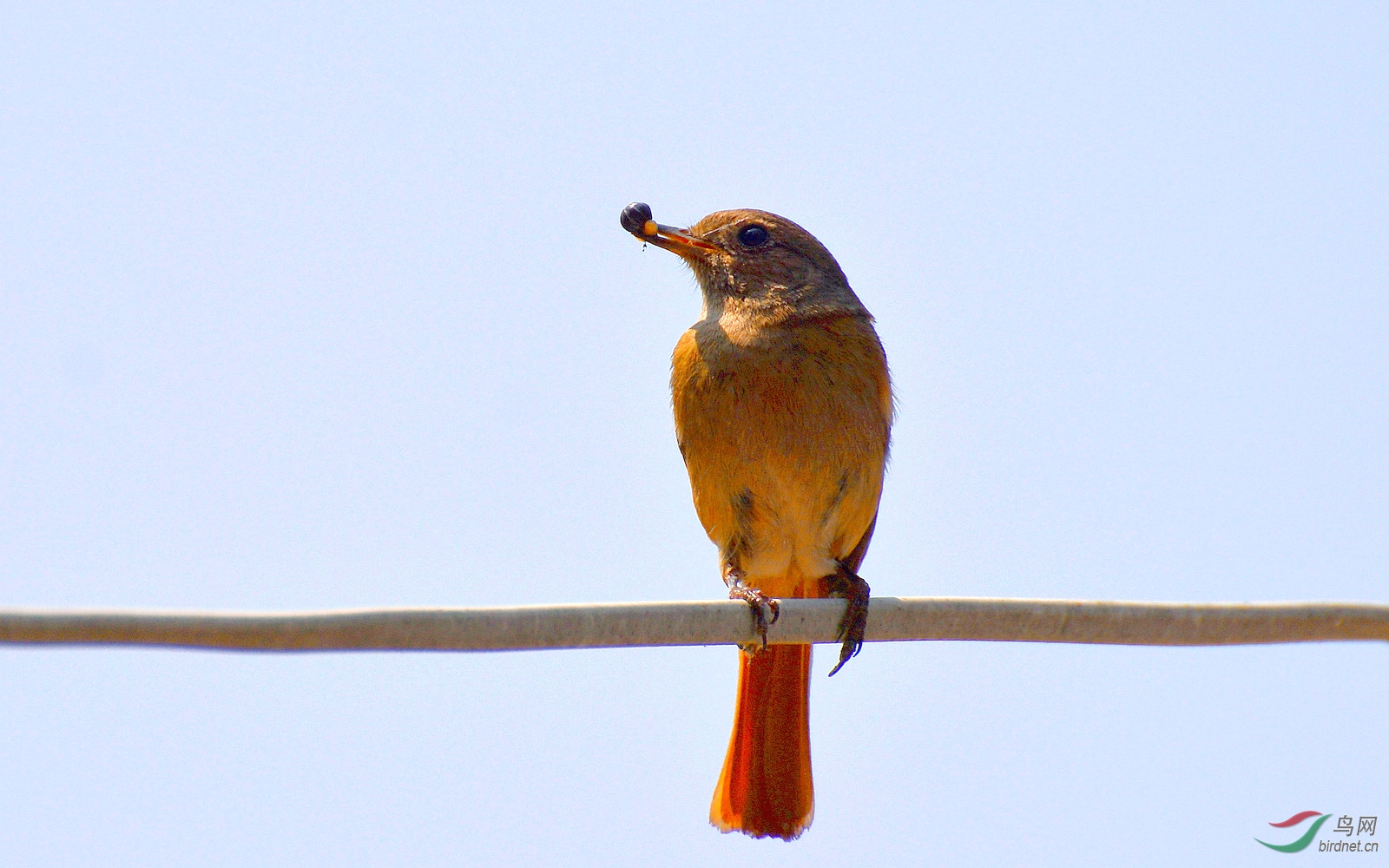 DSC_8621.JPG