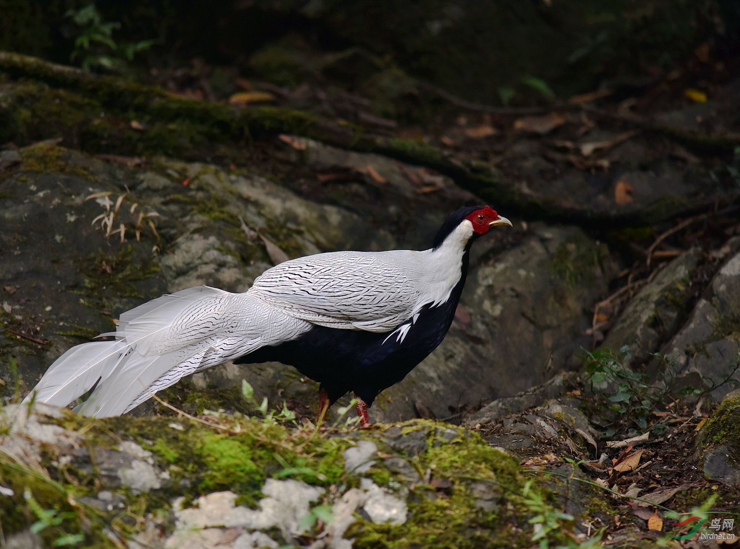 D8I_0335.jpg