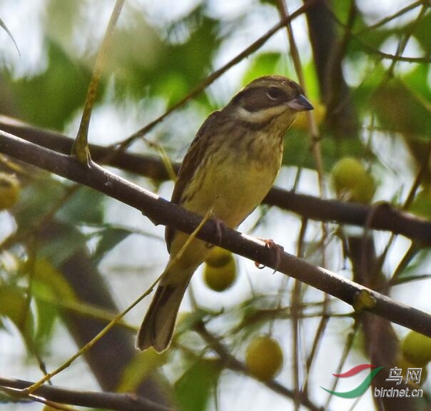 QQ��ͼ20191019211747.jpg