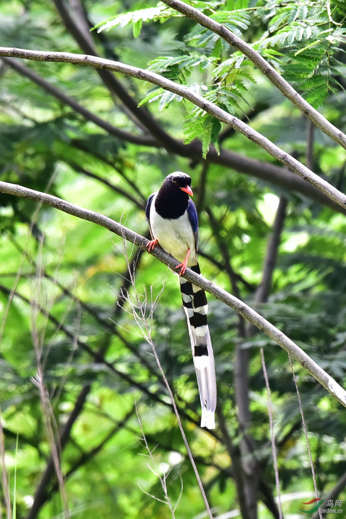 DSC_0572.JPG