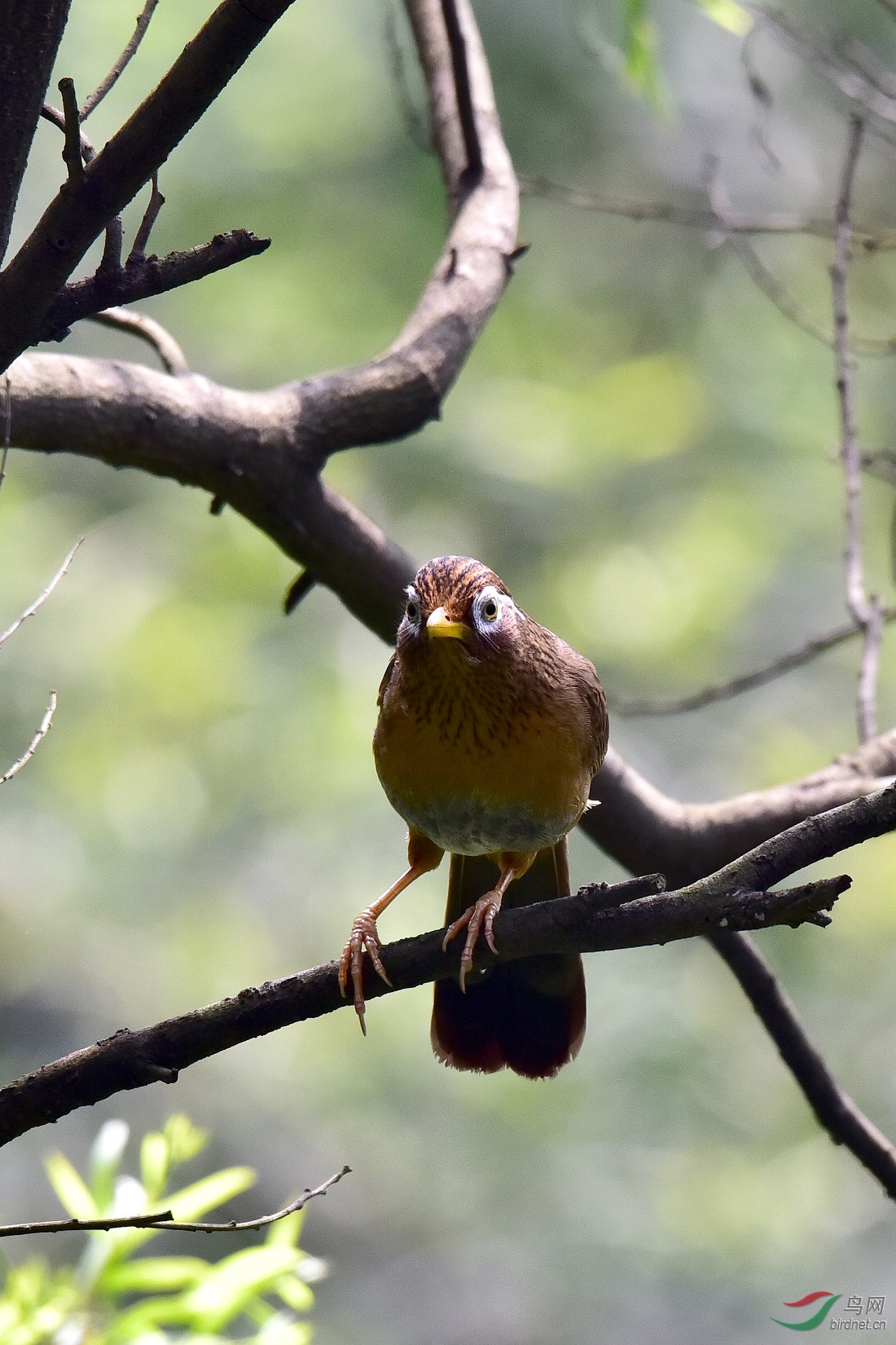 DSC_0151.JPG