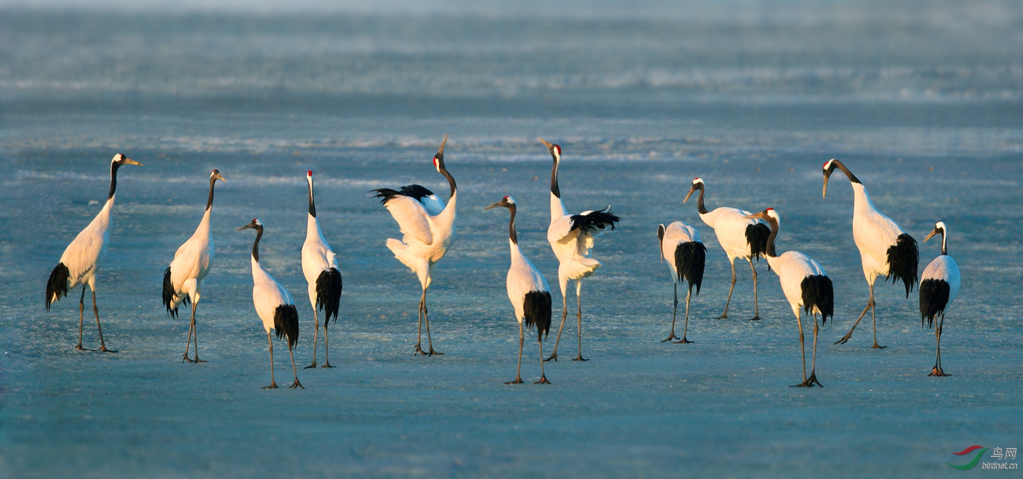 19����ĺ��� .jpg