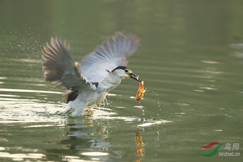 ���� 302.jpg