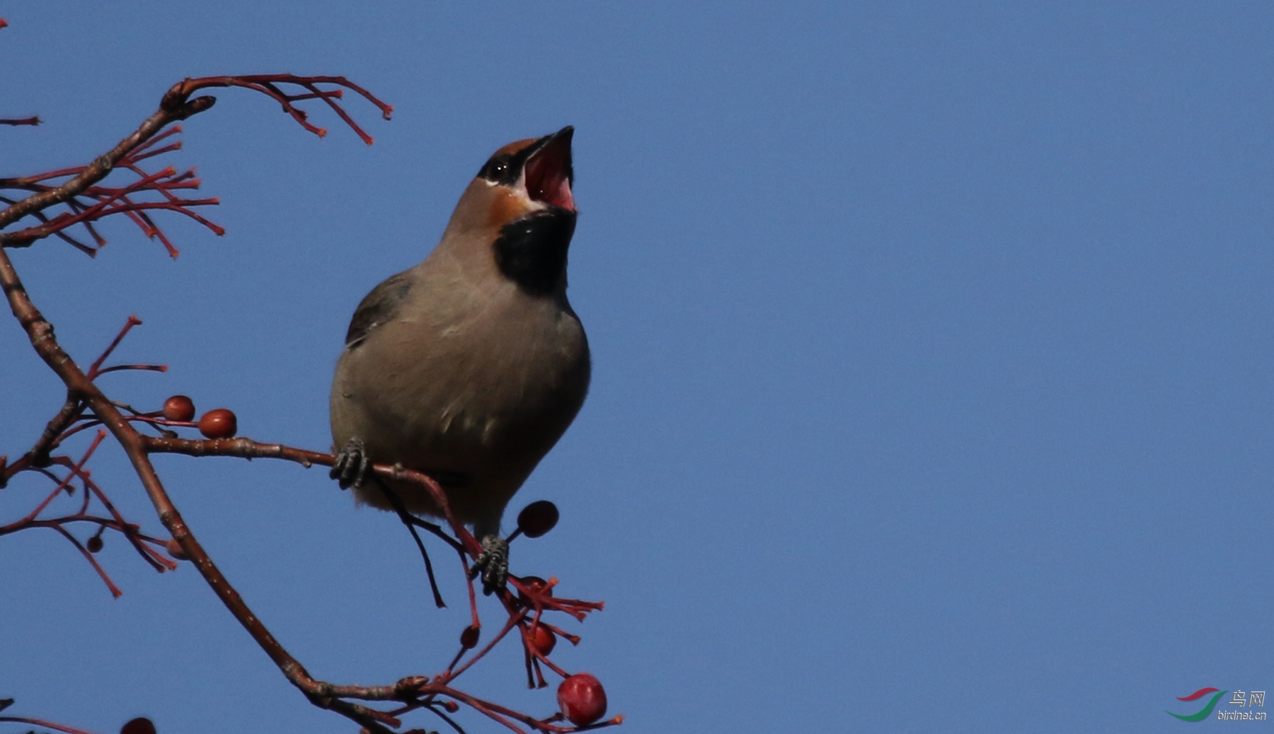 6I4A8227_����.jpg