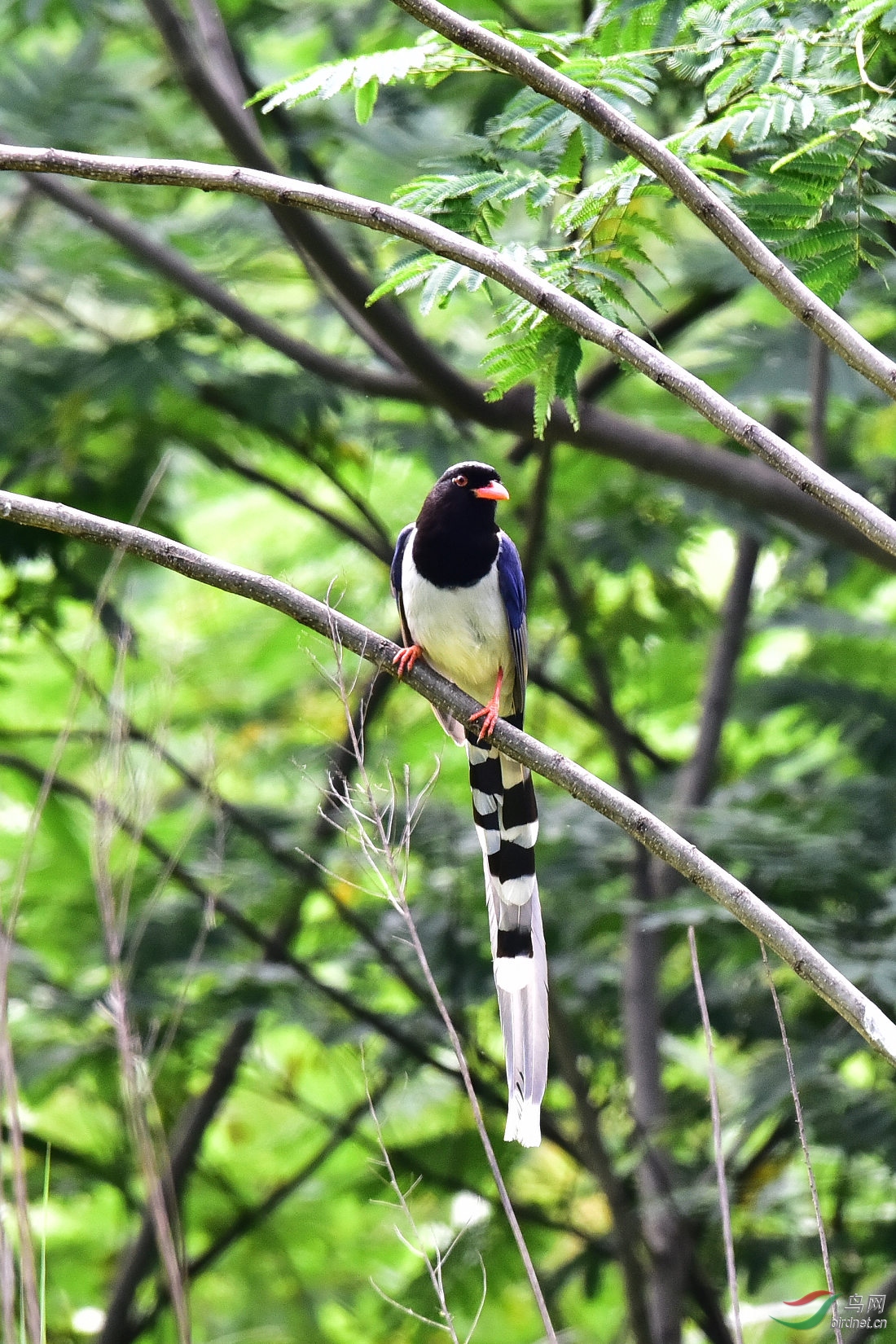 DSC_0576.JPG