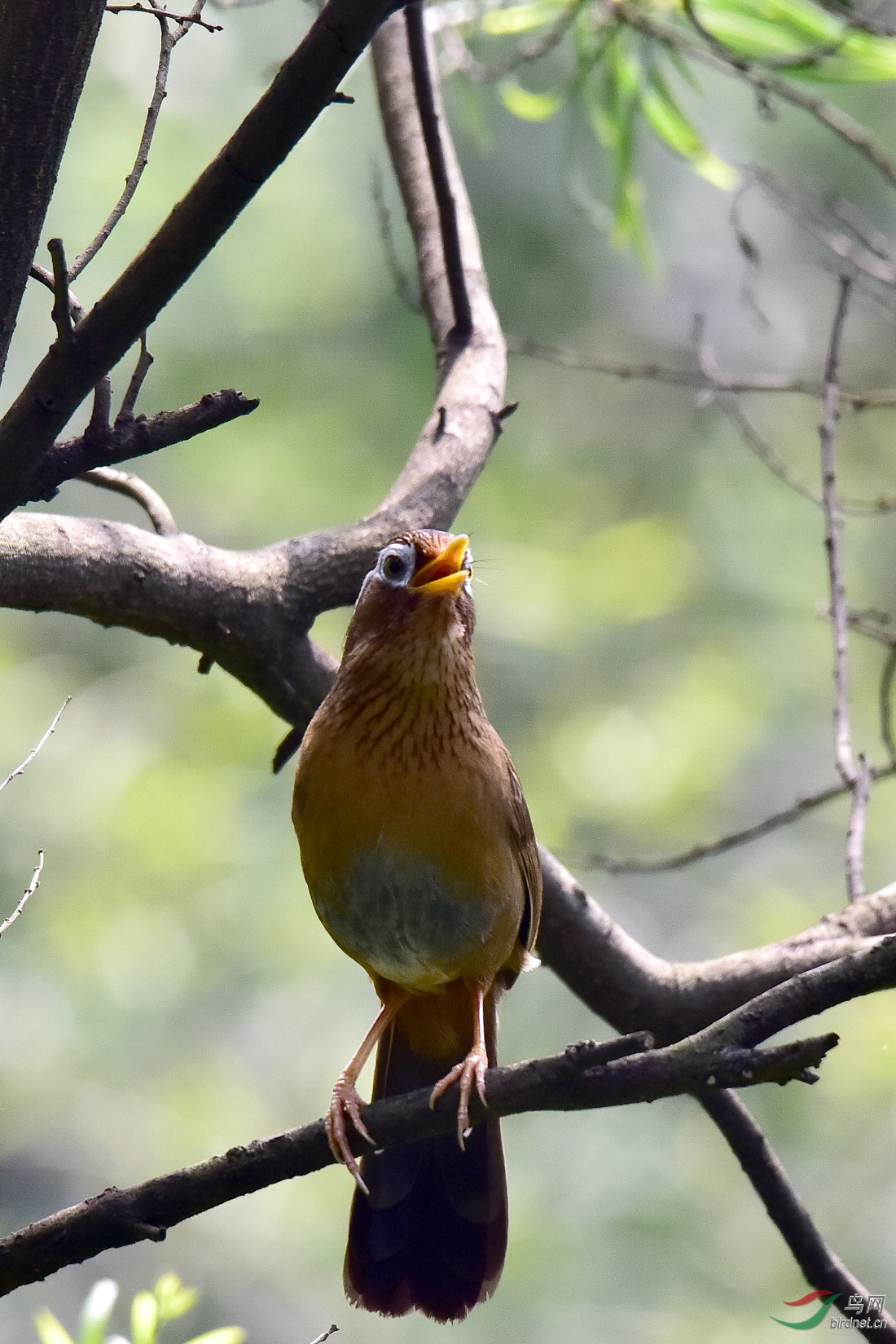 DSC_0156.JPG