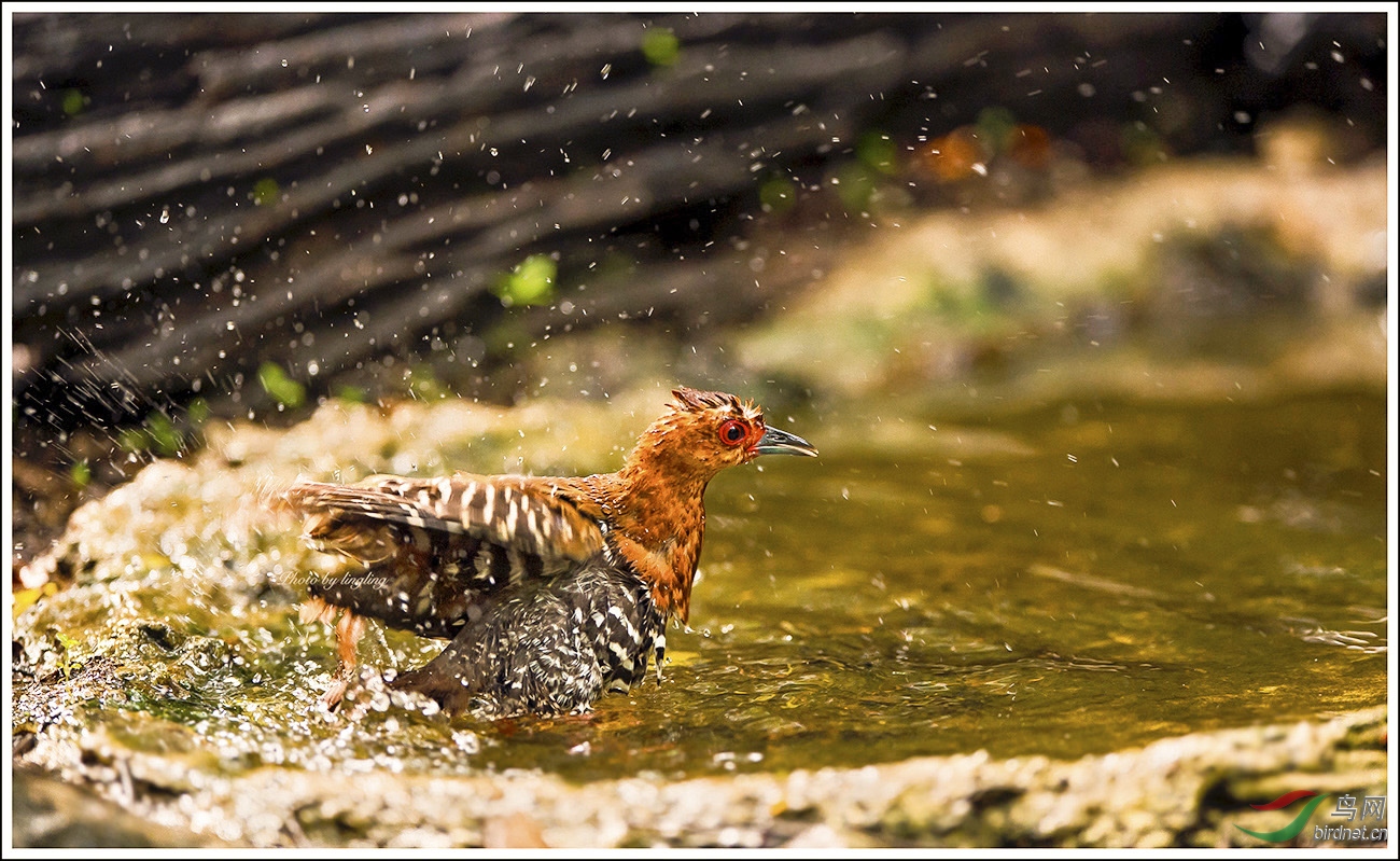 DSC_4720-2.jpg