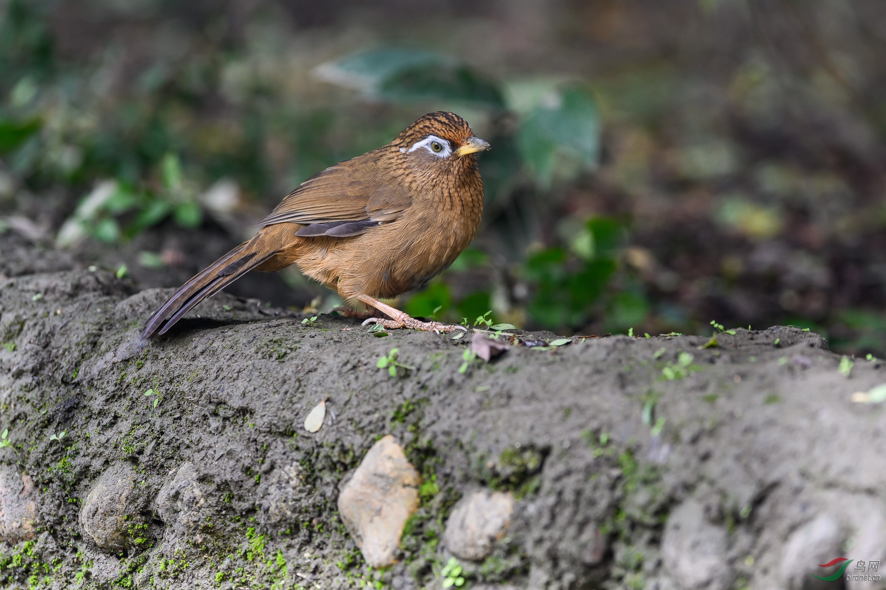 DSC_1578.jpg