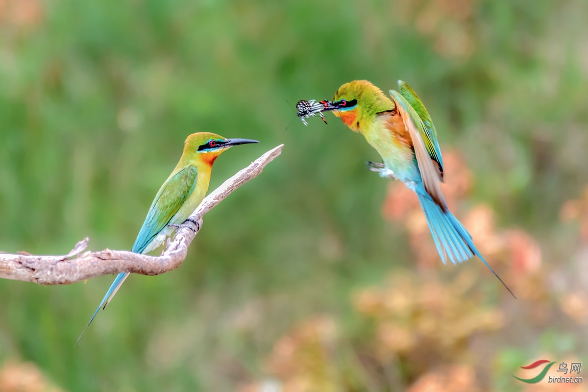 20191021�ι�.jpg