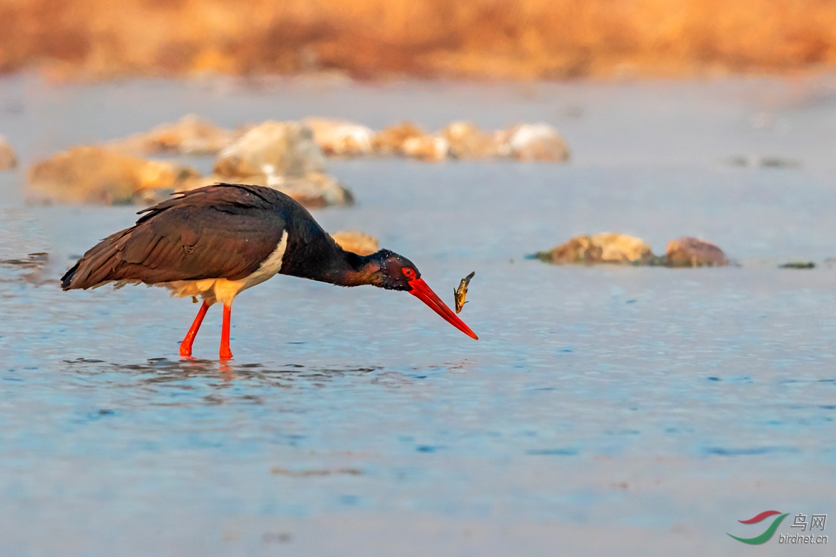 3 - ����.jpg