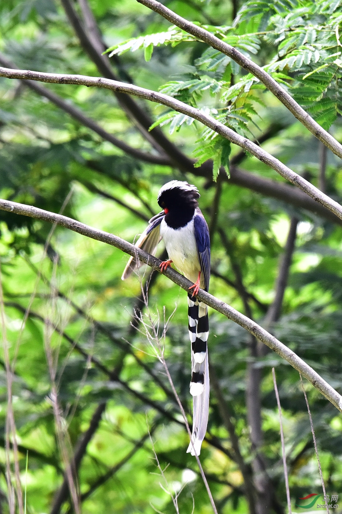 DSC_0577.JPG