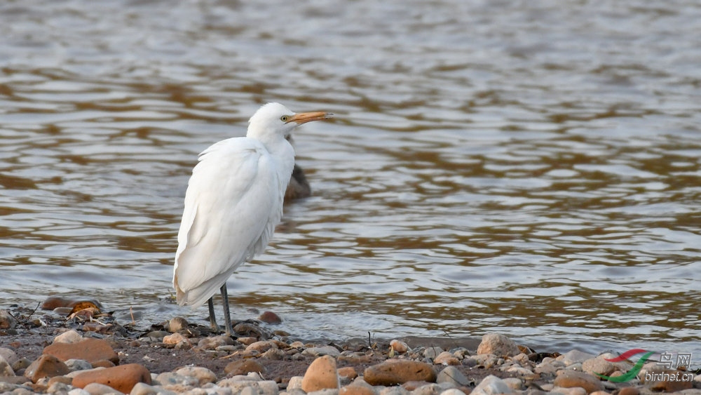 DSC_7543.jpg