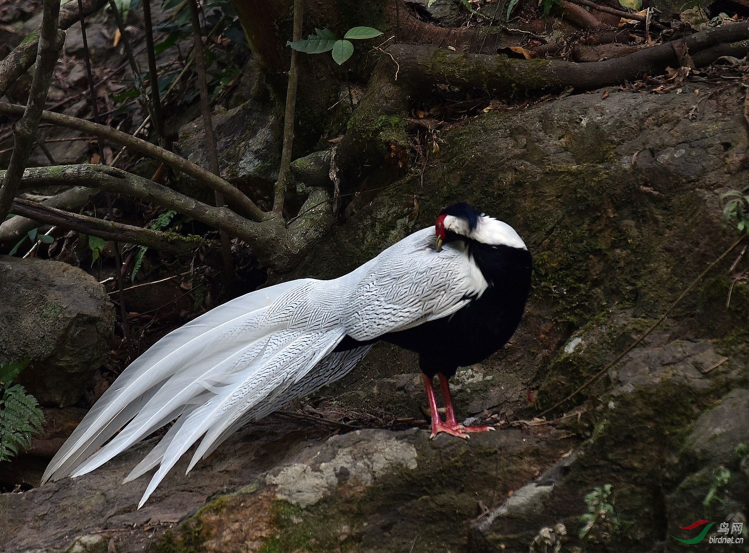 D8I_0601.jpg