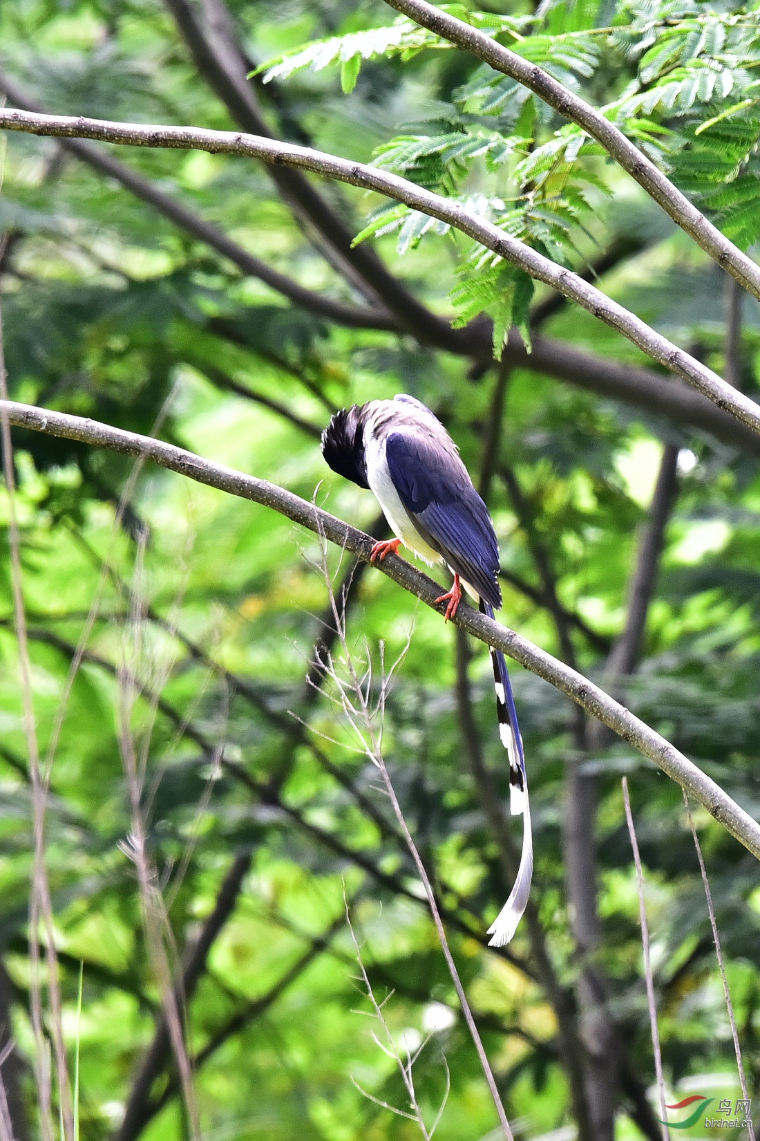 DSC_0581.JPG