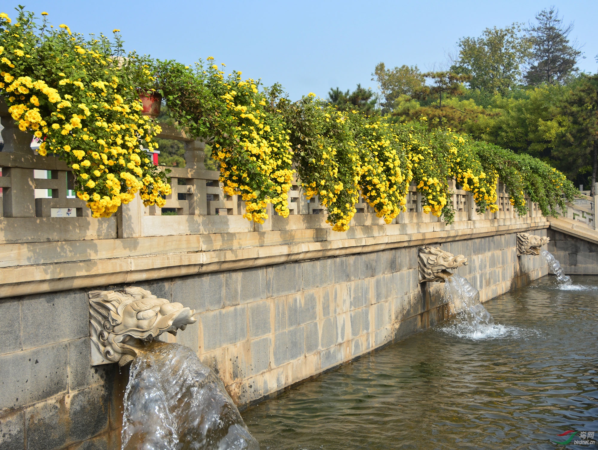 ������Ӱ 410����.jpg