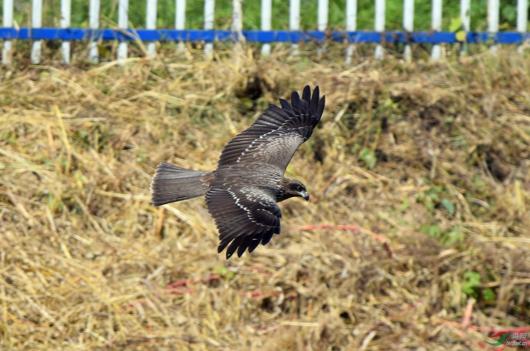 DSC_0183_����.jpg