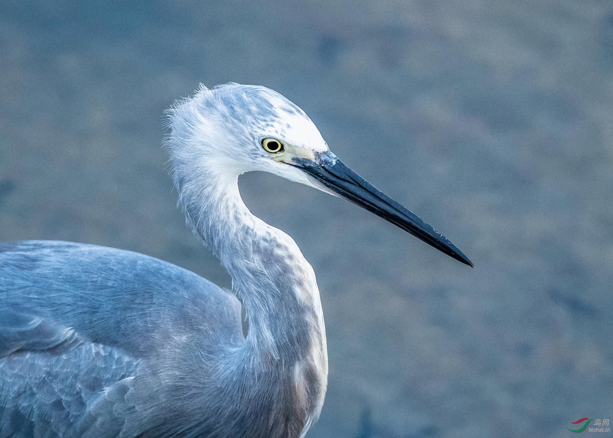 ������ۿ��Ұ���