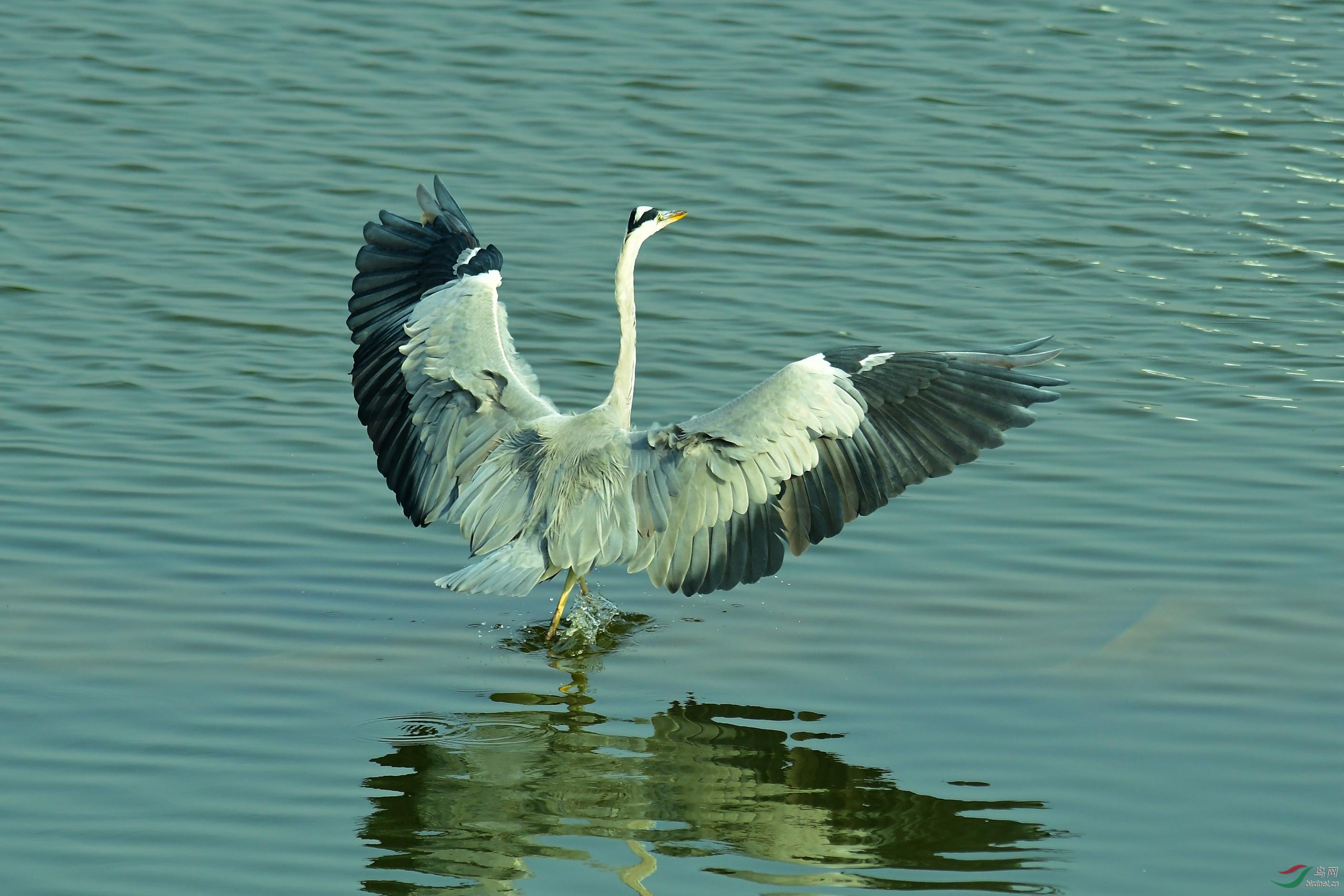 DSC_1563.JPG