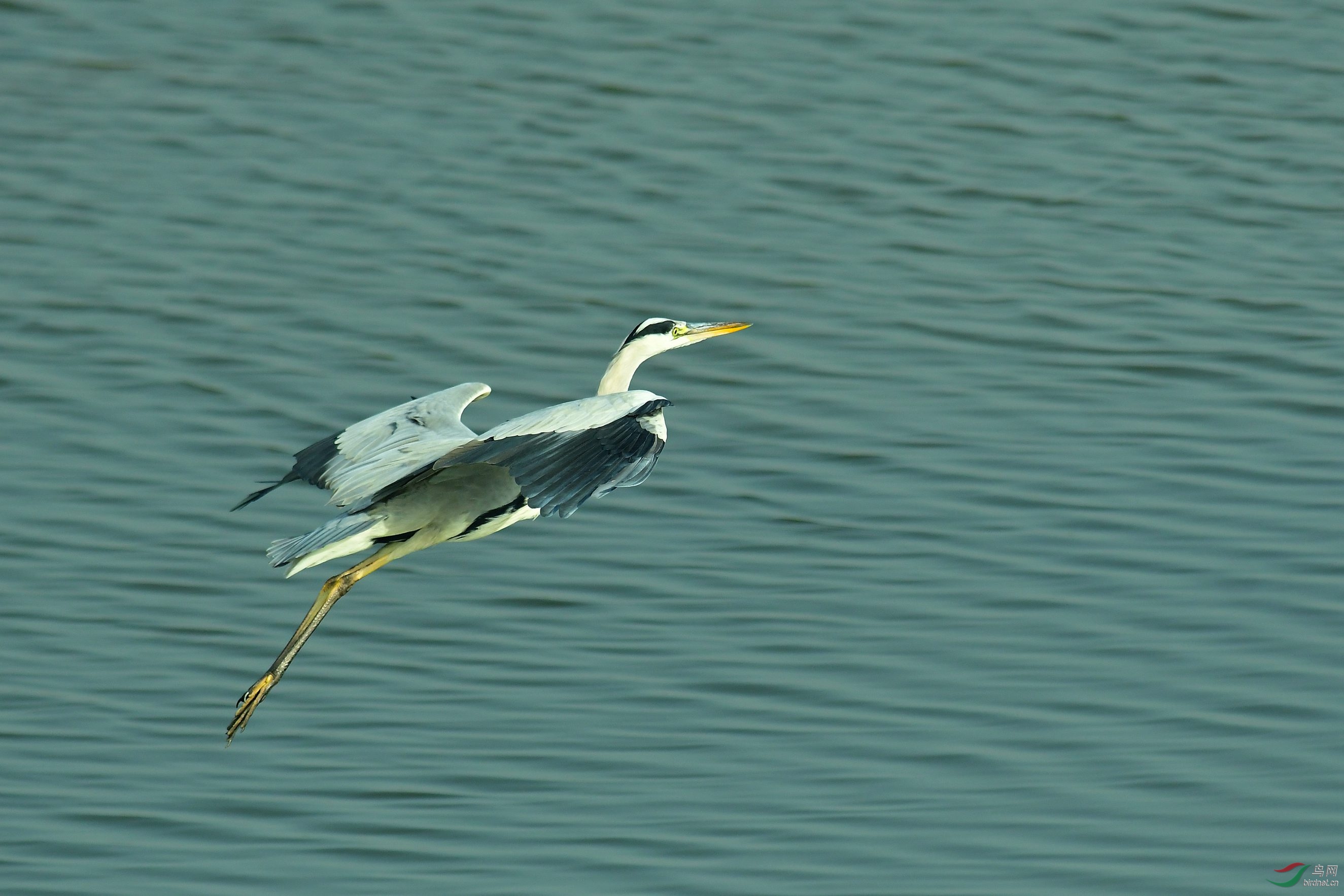 DSC_1561.JPG