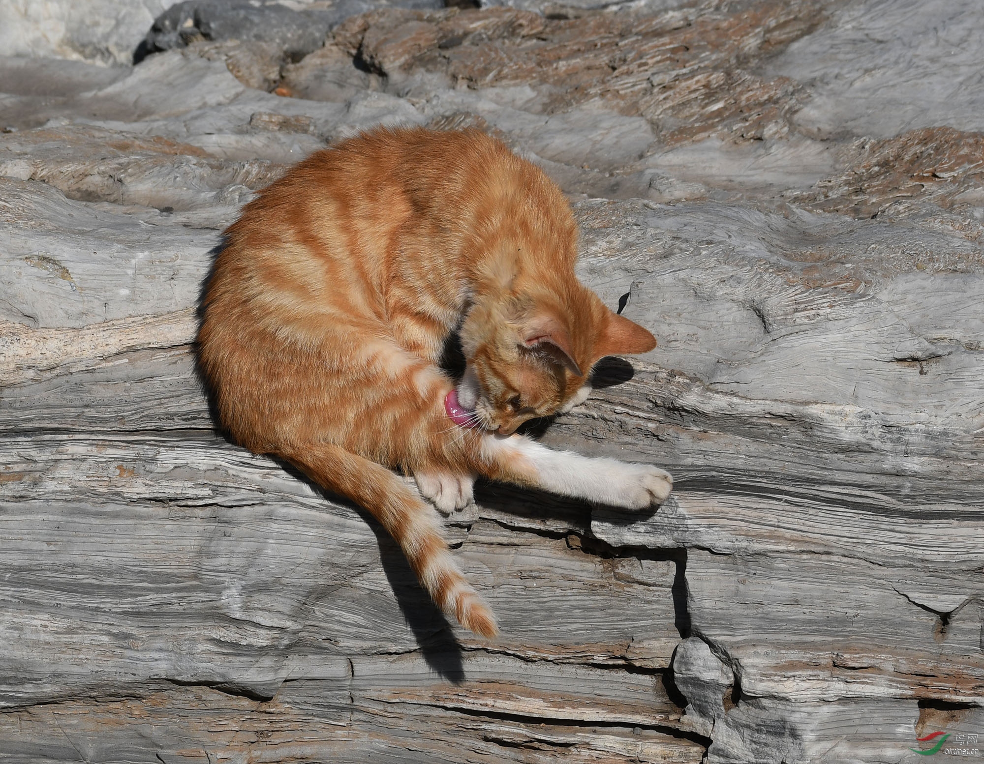 ������Ӱ 1441����.jpg